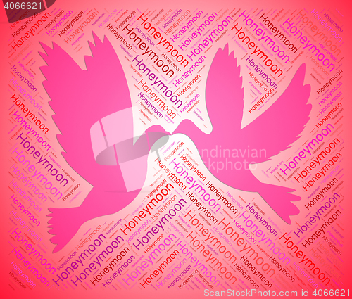 Image of Honeymoon Doves Shows Love Birds And Destination