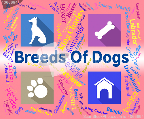 Image of Breeds Of Dogs Represents Puppy Pups And Reproduce
