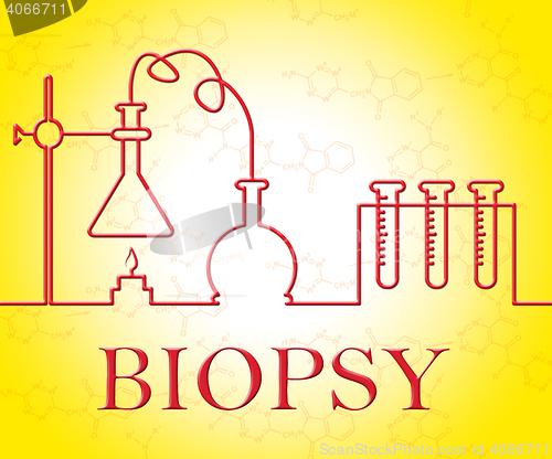 Image of Biopsy Test Means Trial Researched And Examine