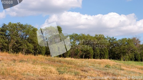 Image of Summer landscape