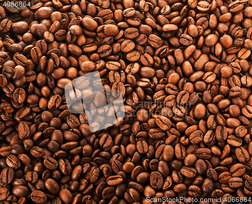 Image of roasted coffee beans