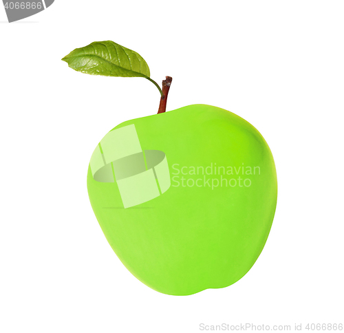 Image of green wax apple isolated on white