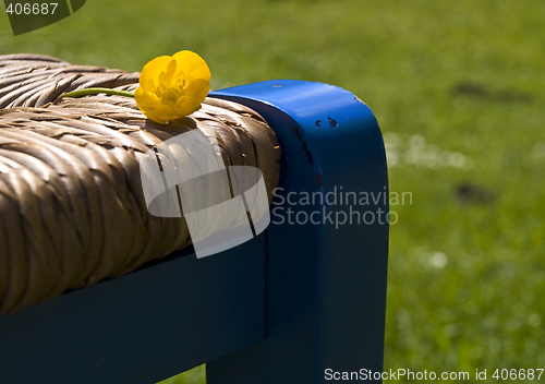 Image of Spring flower on chair