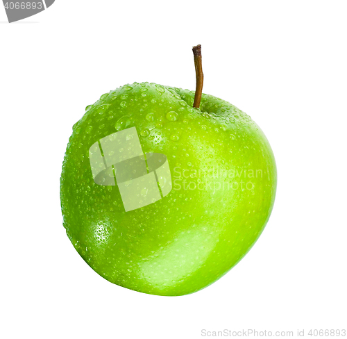 Image of Green apple  isolated on white