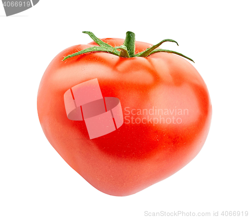 Image of Ripe Tomato isolated