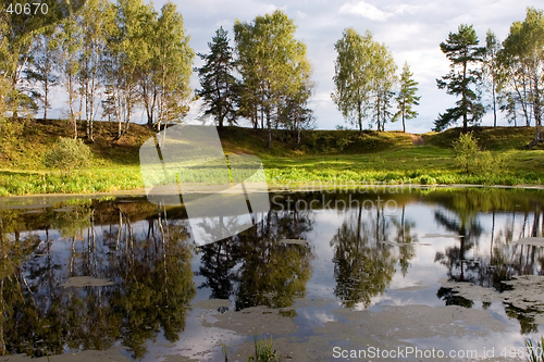 Image of Forest lake