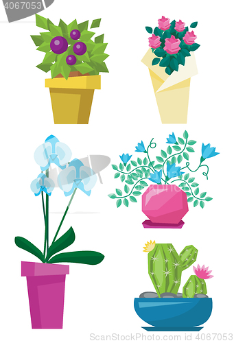 Image of Variety of colorful flowers vector illustration.