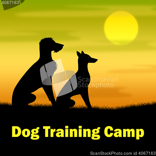 Image of Dog Training Camp Means Coach Pups And Doggy