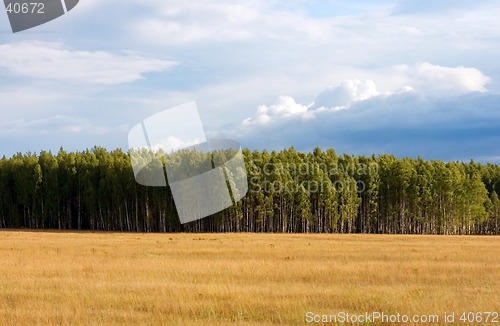 Image of Summer landscape