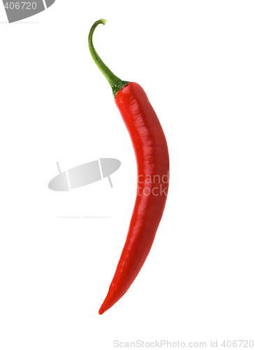 Image of Isolated red chili pepper