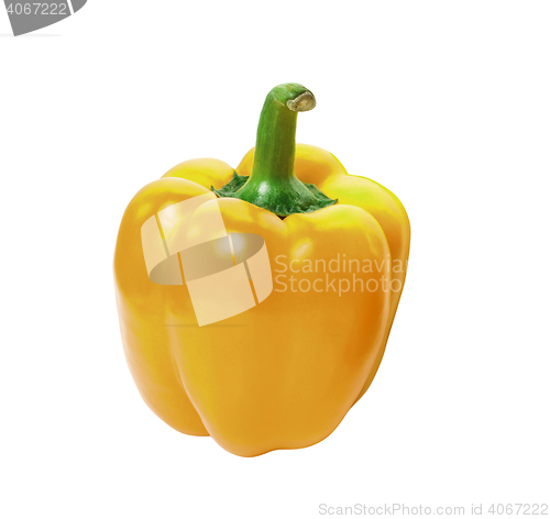 Image of yellow pepper 