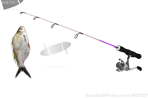 Image of fish on fishing-rod