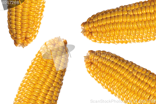 Image of corn on white bacground