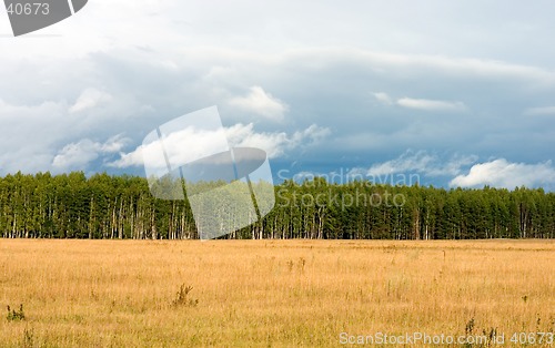 Image of Summer landscape