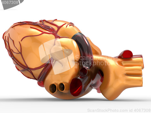 Image of Model of artificial human heart 3d rendering