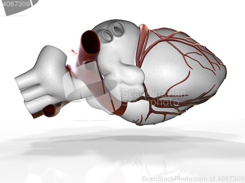 Image of Model of artificial human heart 3d rendering