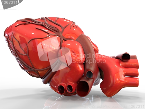 Image of Model of artificial human heart 3d rendering