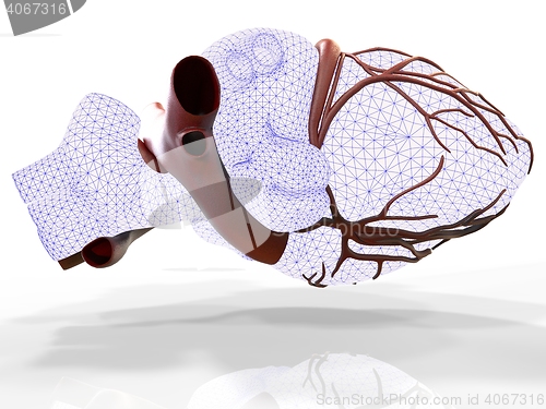Image of Model of artificial human heart 3d rendering