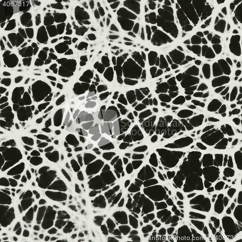 Image of Human neurons in brain seamless 3d rendering