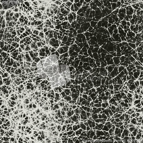 Image of Human neurons in brain seamless 3d rendering