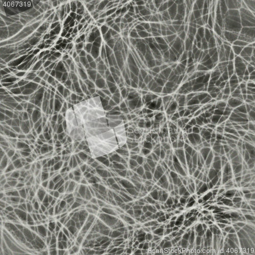 Image of Human neurons in brain seamless 3d rendering