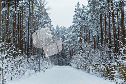 Image of Road in winter snow forest