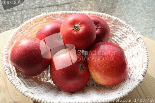 Image of Swedish apples - Ingrid Marie