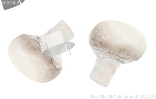 Image of Button mushrooms