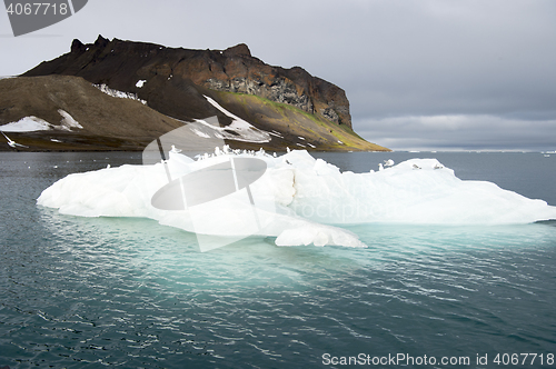 Image of Seagulls on the iceberg