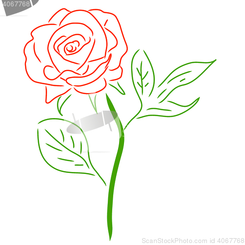 Image of Red Rose isolated on white, illustration