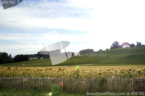 Image of Country landscape