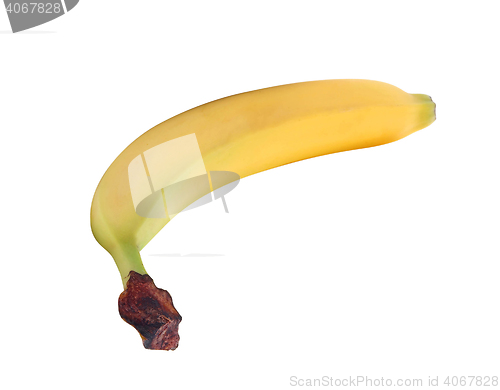 Image of Single banana