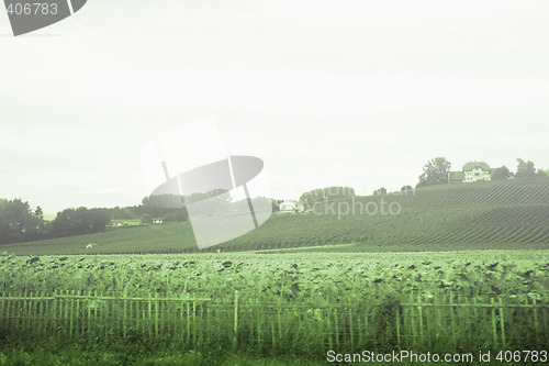 Image of Country landscape