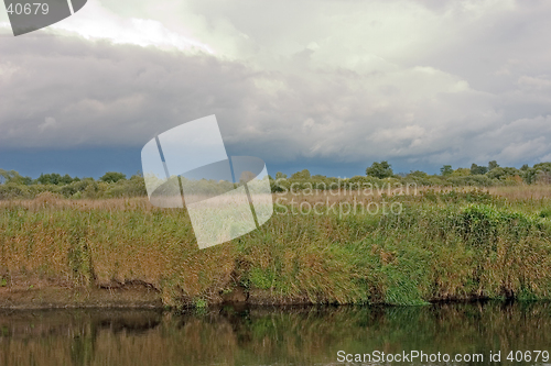 Image of Summer landscape