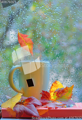 Image of Tea cup at the window with  leaves and drops
