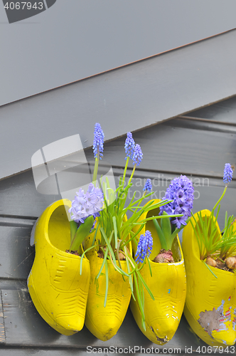 Image of Wooden shoes Klomp like flowerpots with flowers