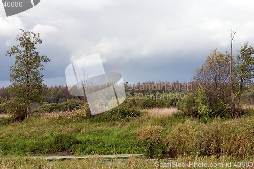 Image of Summer landscape