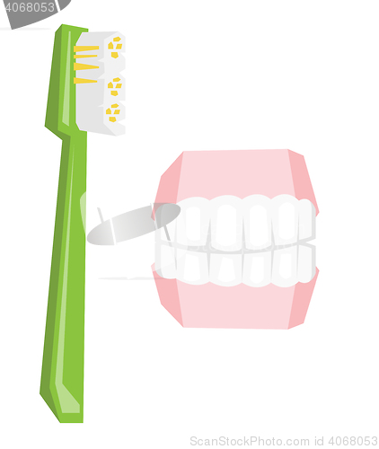 Image of Dental jaw model and toothbrush.