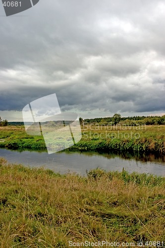 Image of Summer landscape