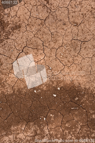 Image of Dry soil closeup