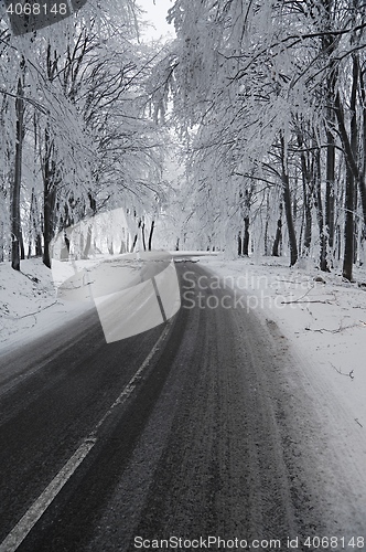 Image of Winter Road Turns