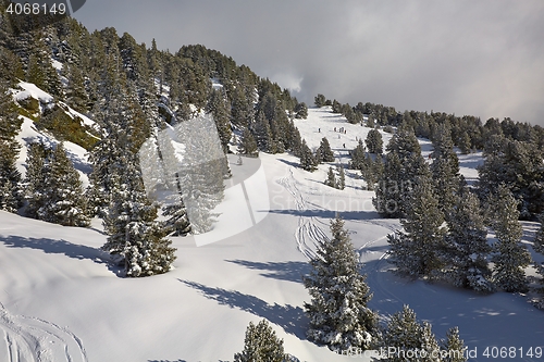 Image of Skiing slopes from the top