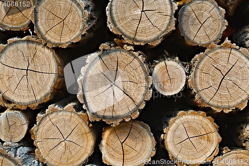 Image of Log wood pile