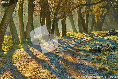 Image of Autumn morning landscape