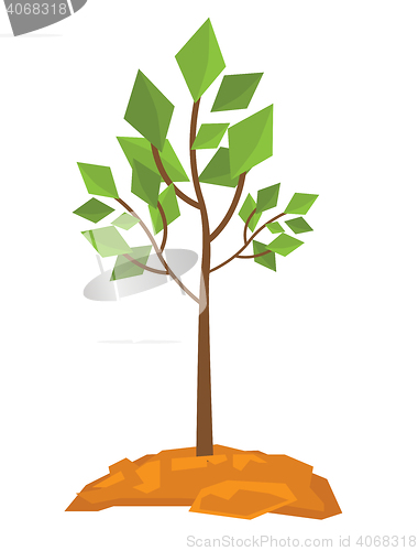 Image of Large deciduous tree vector illustration.