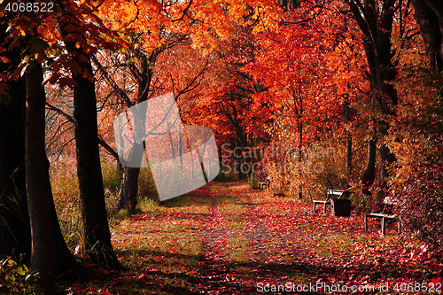 Image of czech color autumn country 