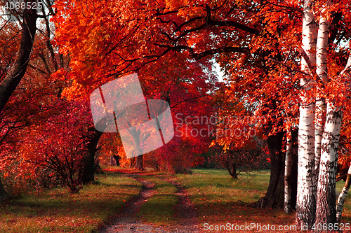 Image of way in the park 