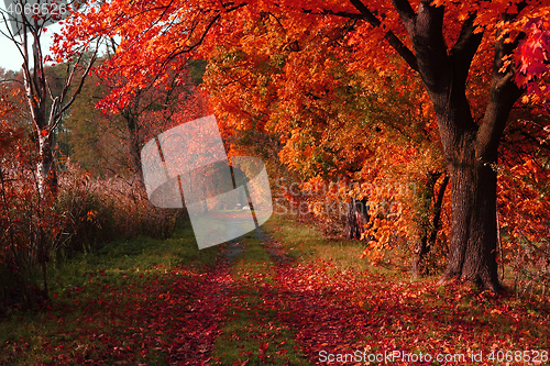 Image of czech color autumn country 