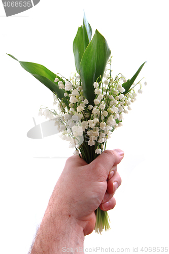 Image of lily of valley