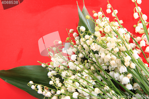 Image of lily of valley background